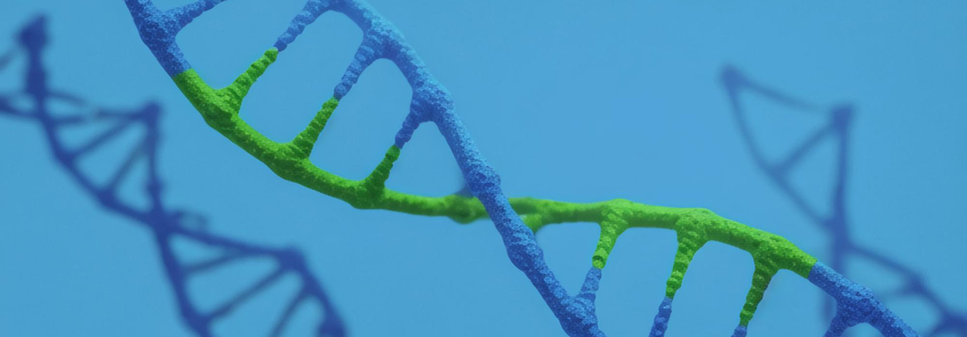 药效、药理、非GLP毒理